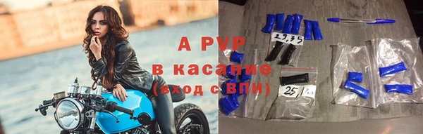 спиды Богородицк