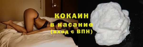 спиды Богородицк