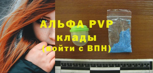 спиды Богородицк