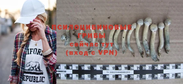 спиды Богородицк