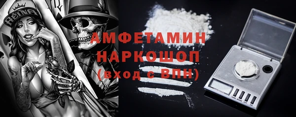 спиды Богородицк